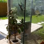 Haus Naehe Flughafen Und Messe Düsseldorf